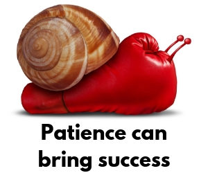 Patience can bring success