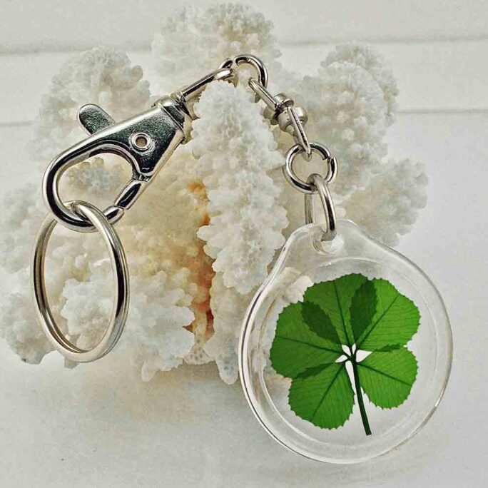 Acrylic Charm Trigger Snap Keychain With A Real Genuine Five Leaf Clover - Ak-5J