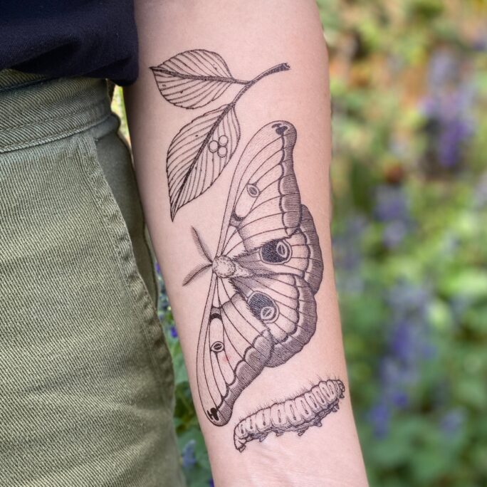 Polyphemus Moth Temporary Tattoo, Lifecycle Design, Nature Lover Gift, Stocking Stuffers & Party Favors